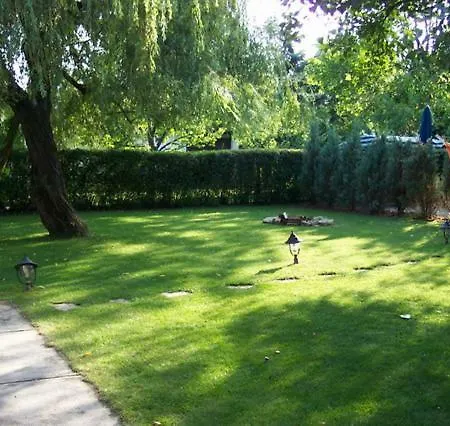 Amsel Haz *
